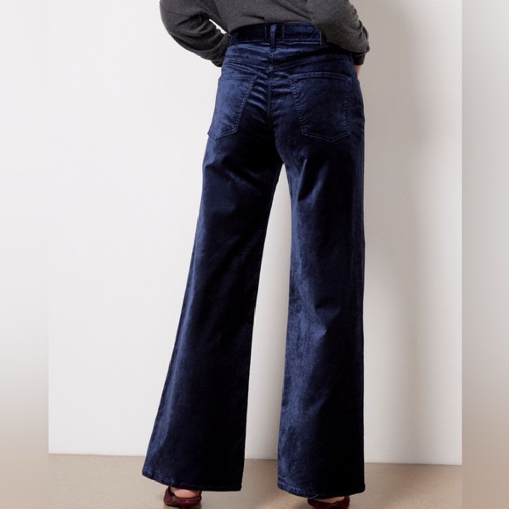 Citizens of Humanity Paloma Velvet Wide Pants - Picture 13 of 15
